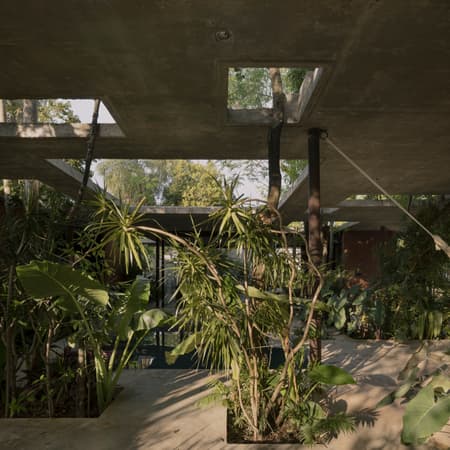 A Forest in the House